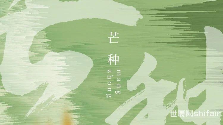 芒种 | 播种希望的光芒,收获耕耘的回响